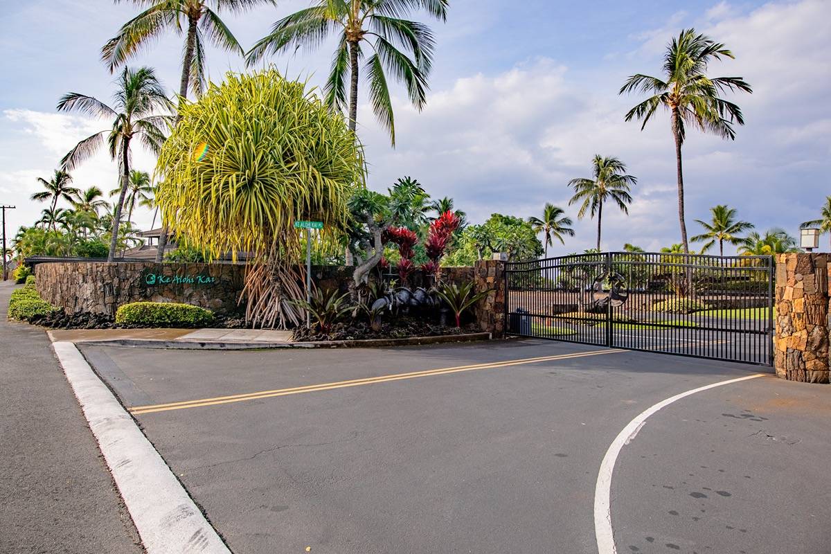 a palm tree sitting in front of a house with a basket ball court and palm trees