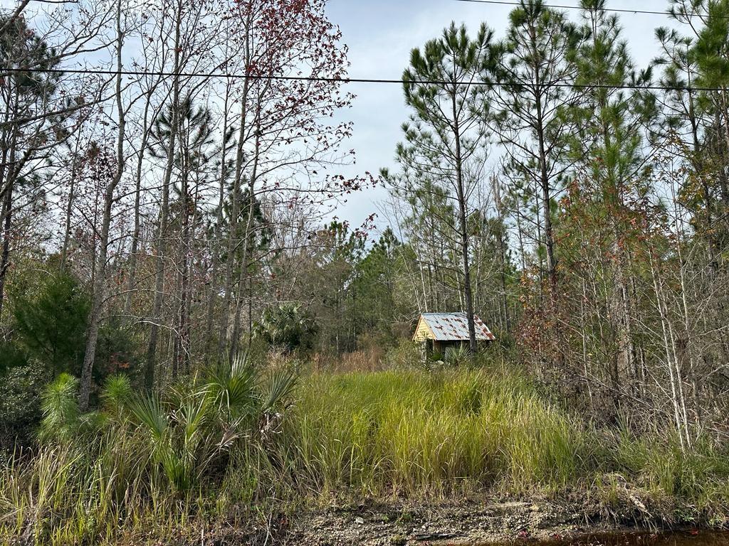 a view of a lake