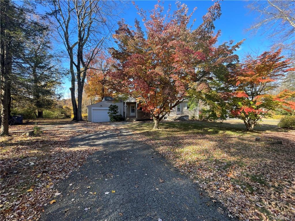 View of property hidden behind natural elements with a garage