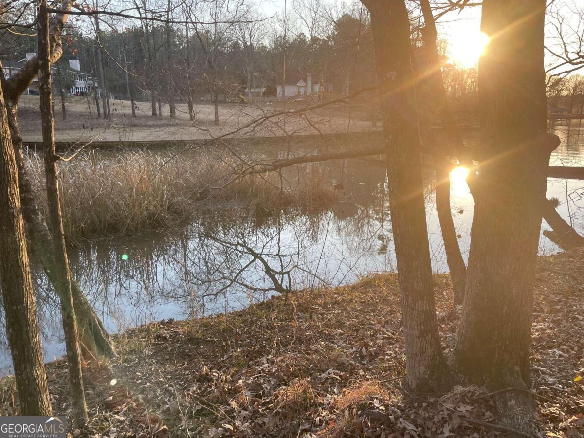 a view of a lake from a yard