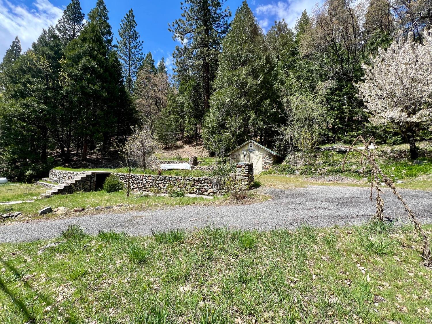 a view of a yard with plants