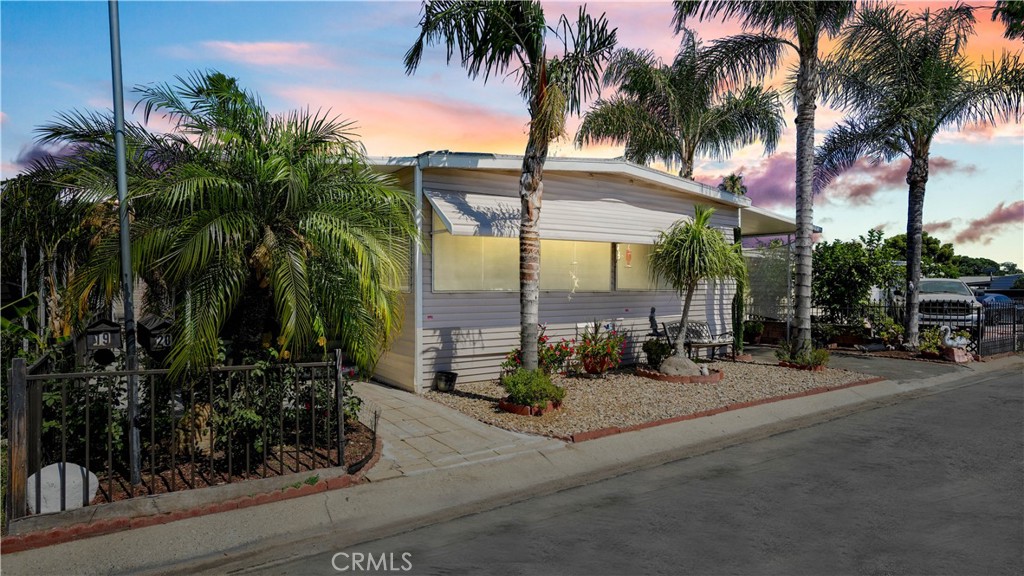 a row of palm trees in front of a house