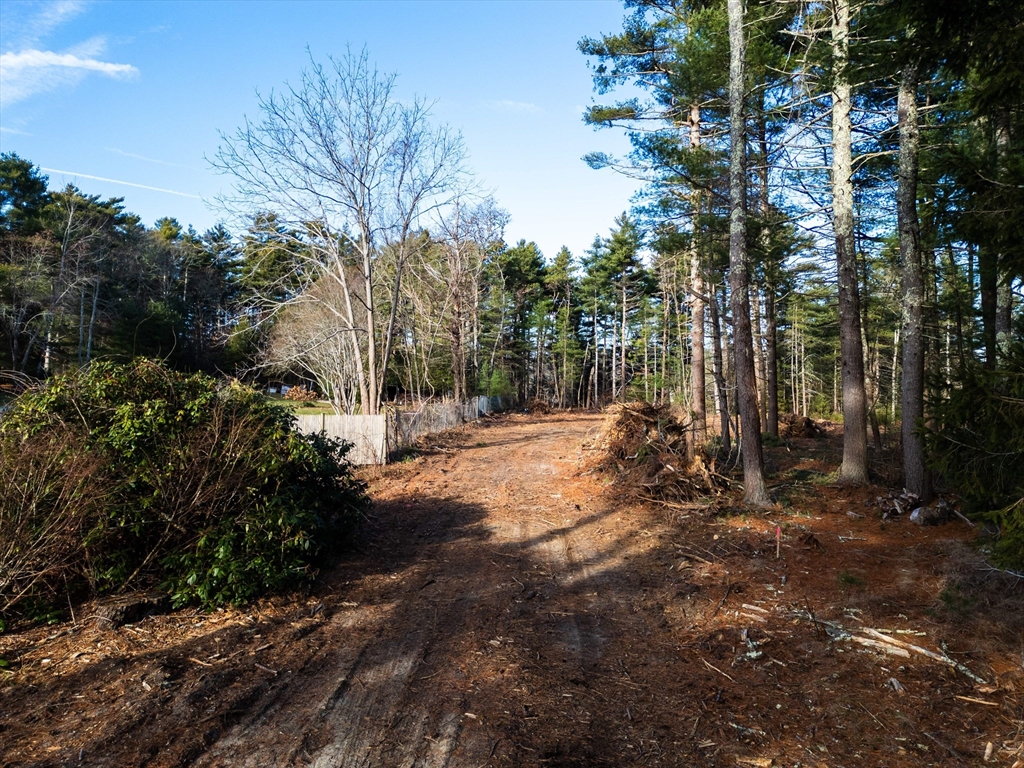 a view of backyard of green space