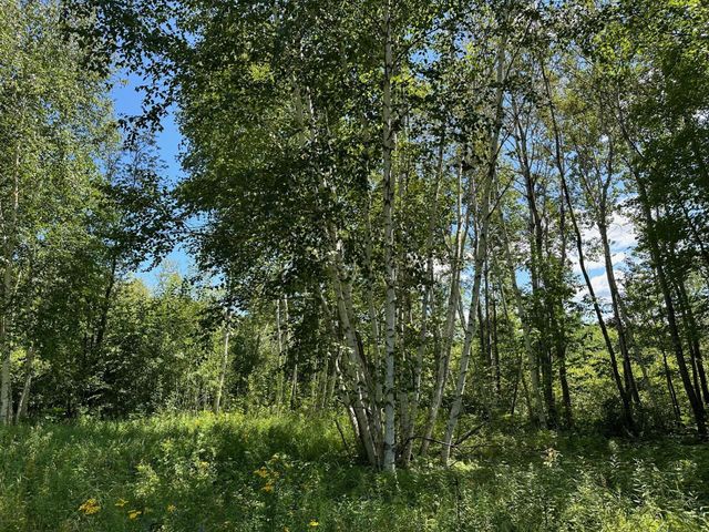 $440,000 | Tbd Tbd Nokay Hall Road | Nokay Lake Township - Crow Wing County