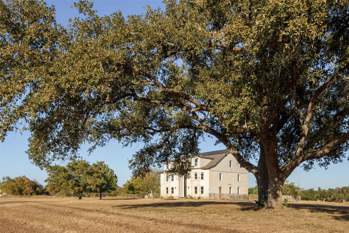 an outdoor space with trees