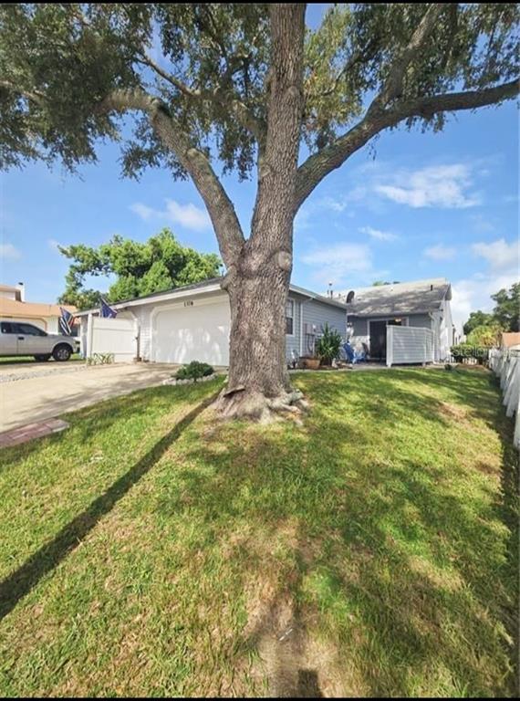 a view of an house with backyard and a tree