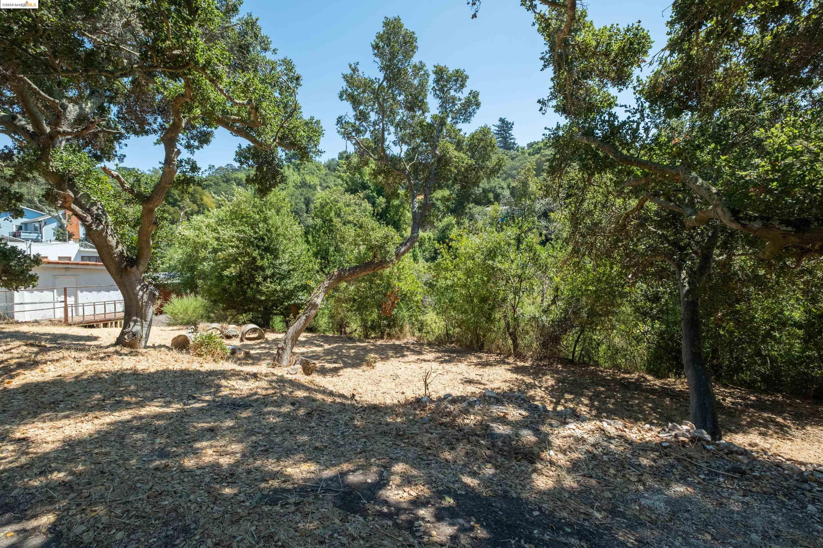 a view of dirt yard with a large tree