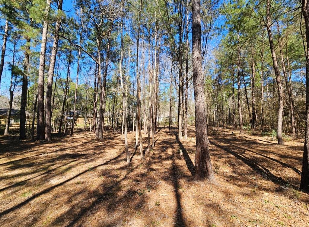 a view of a yard with trees