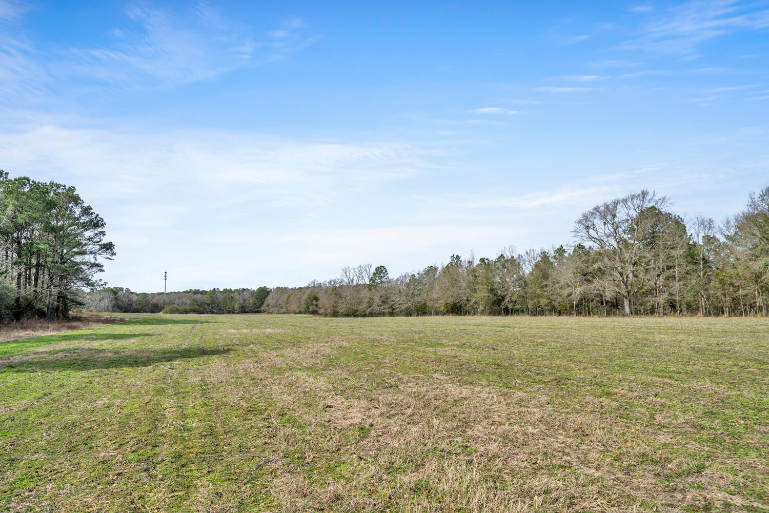 a view of a field with an ocean