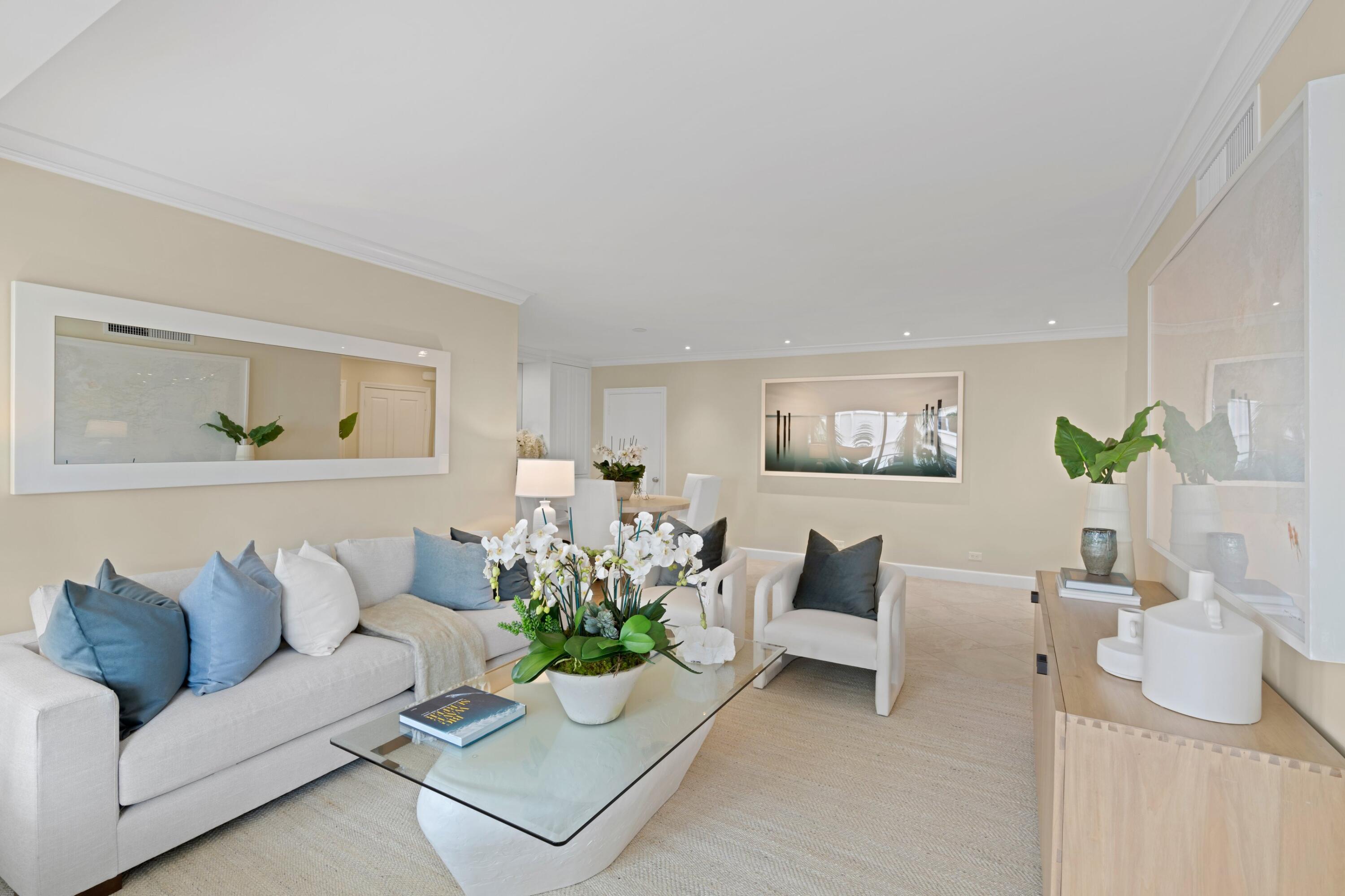 a living room with furniture and a potted plant