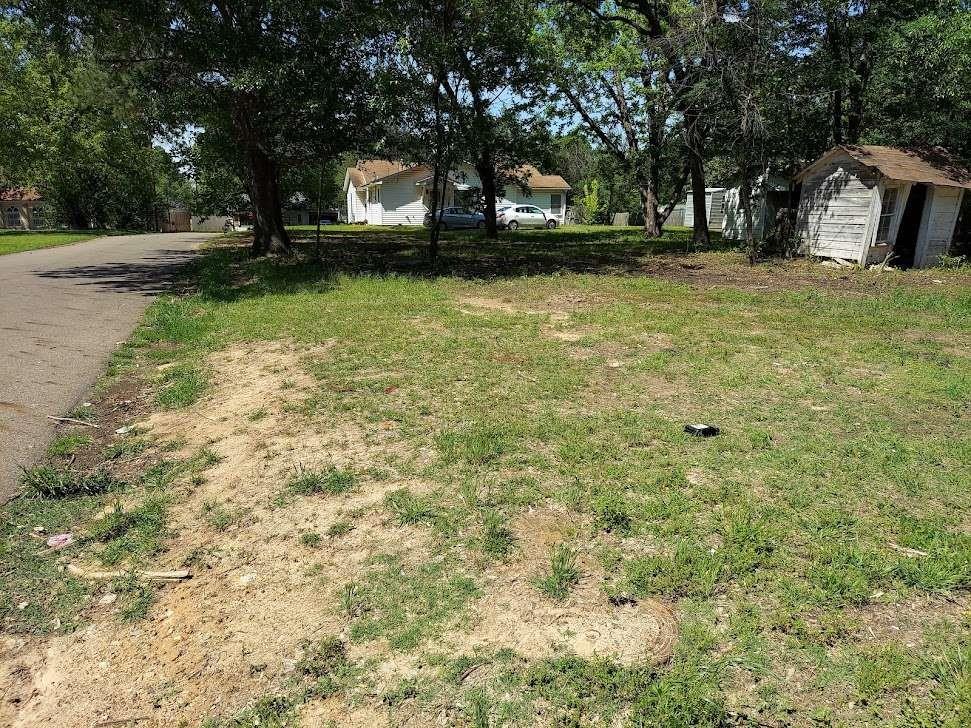 a view of a trees with a yard