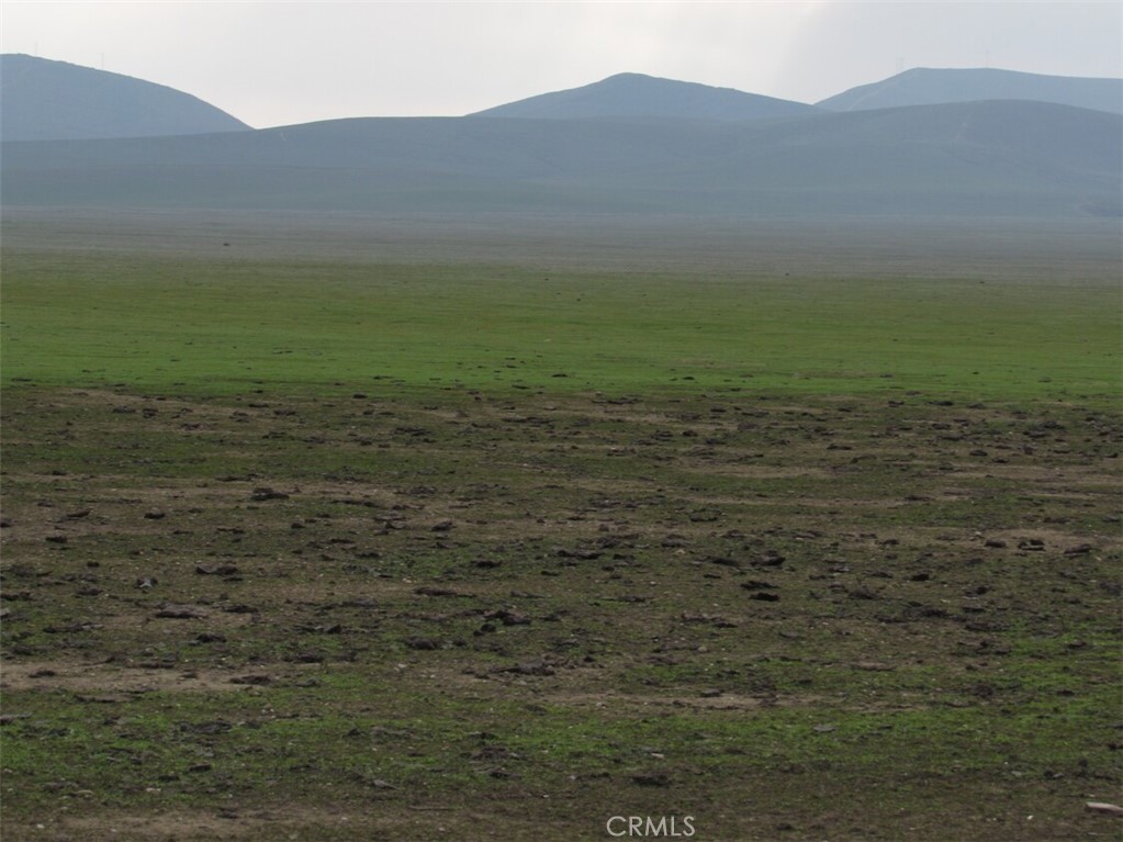 a view of a field with an ocean