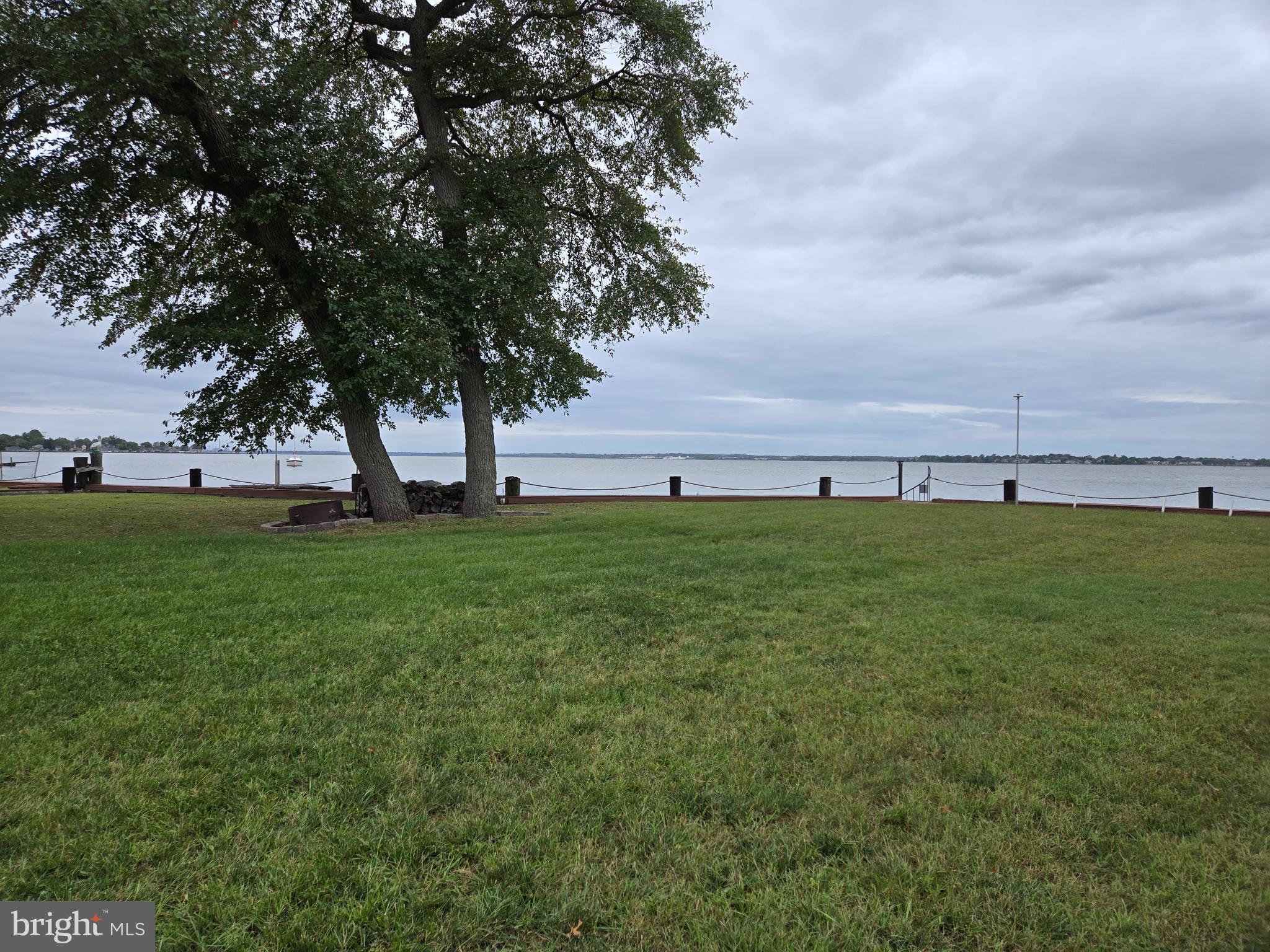 a view of yard with grass and trees