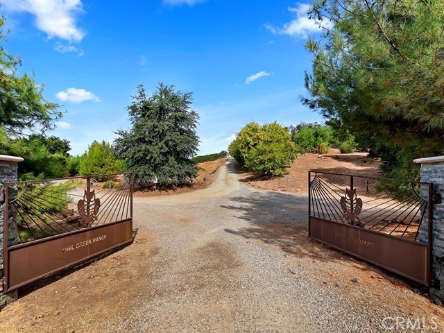 a view of backyard with outdoor seating and green forest