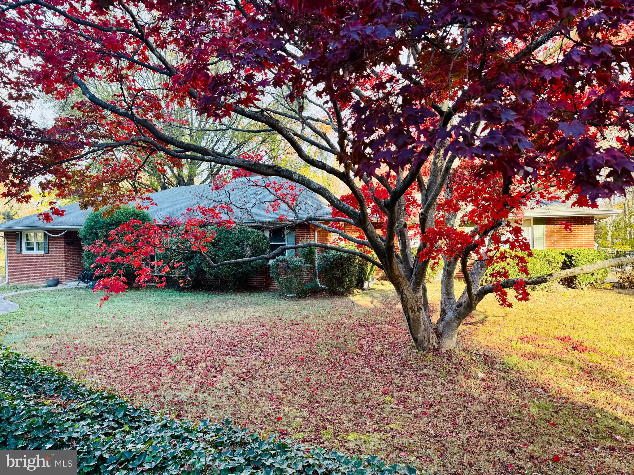 a backyard of a house with lots of green space and fountain