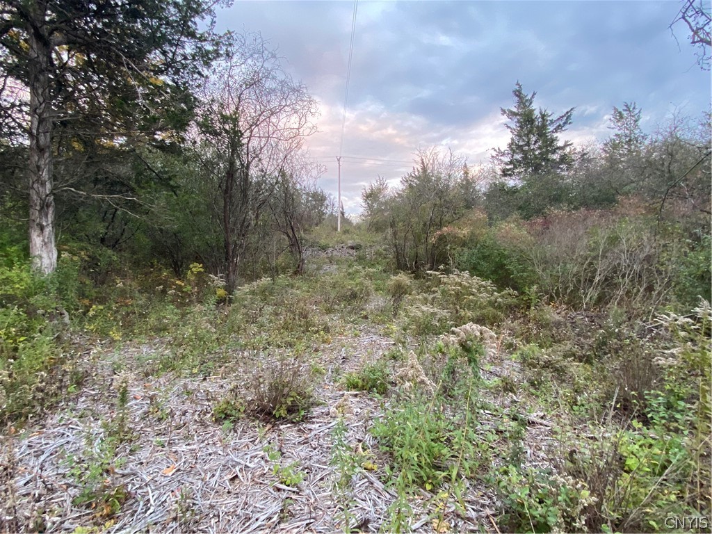 pathway in from the road