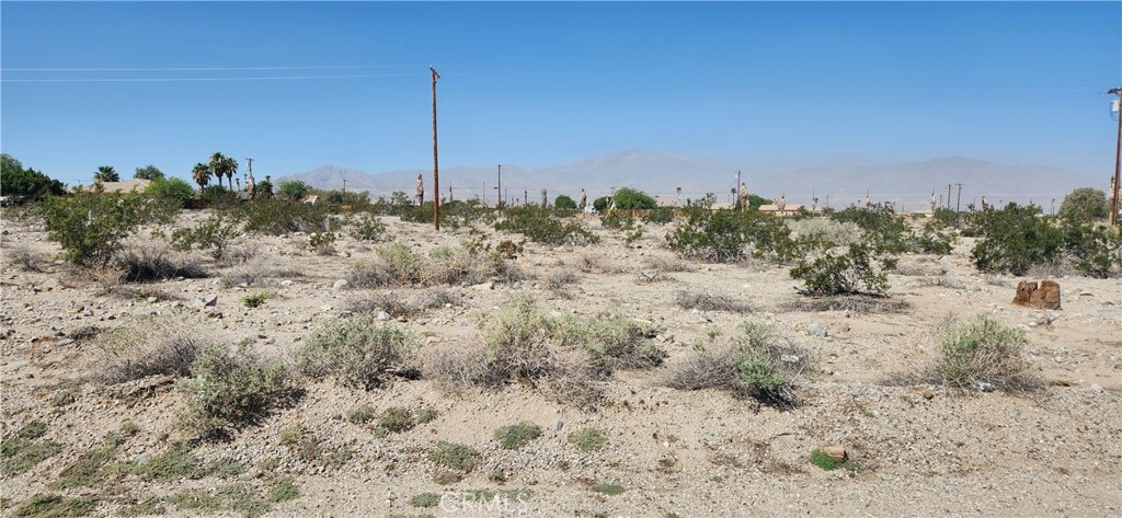 a view of a dry yard with trees in the background