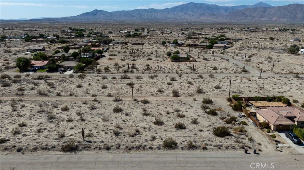 a view of a dry yard