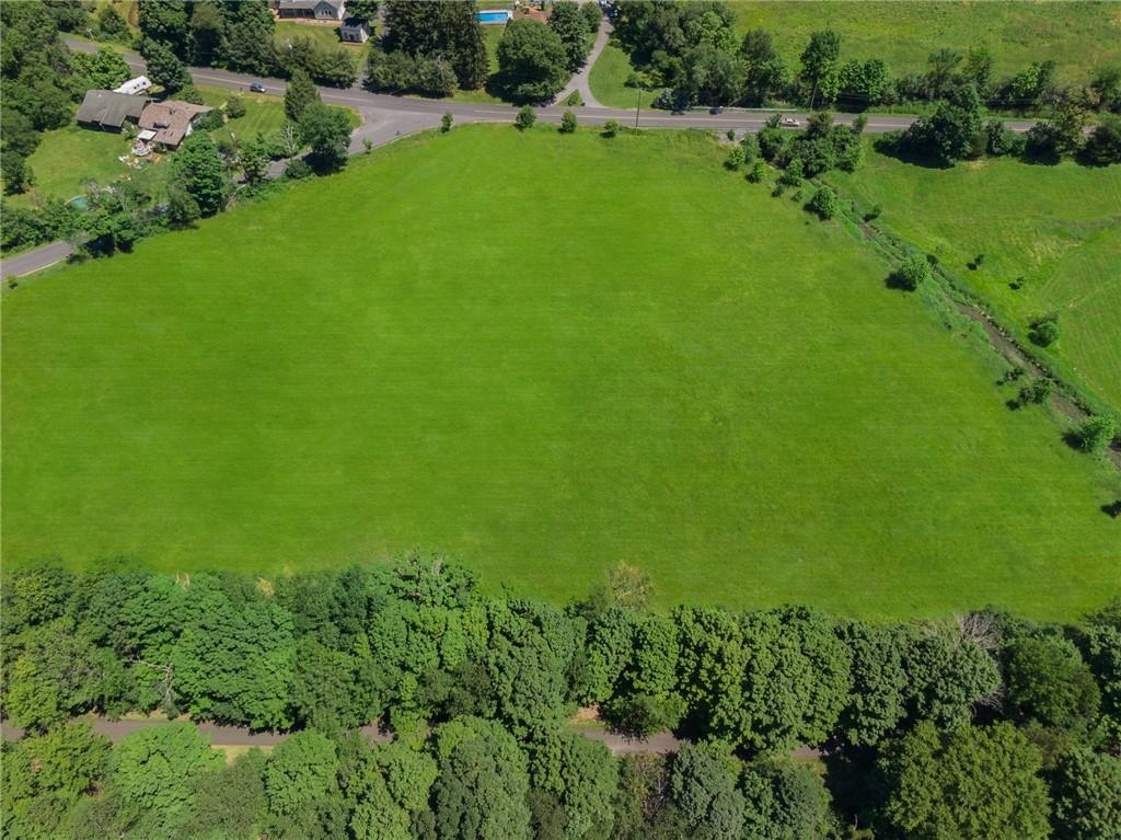 a view of a lush green space