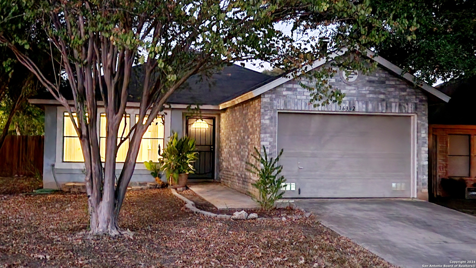 a tree in front of a house