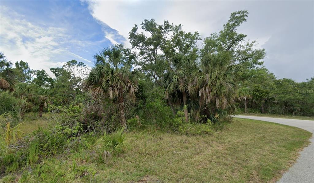 a view of outdoor space with trees all around