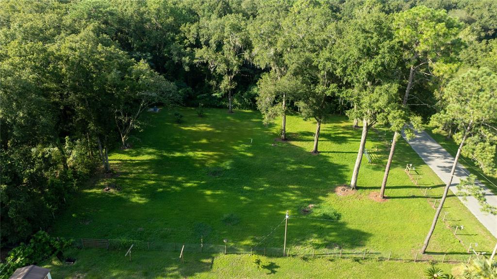 a view of a backyard