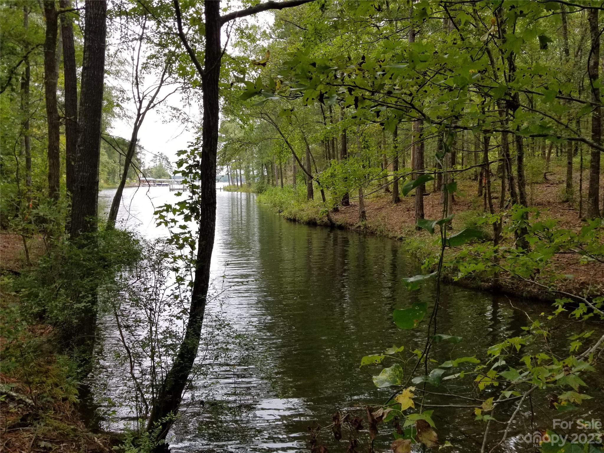 a lake view