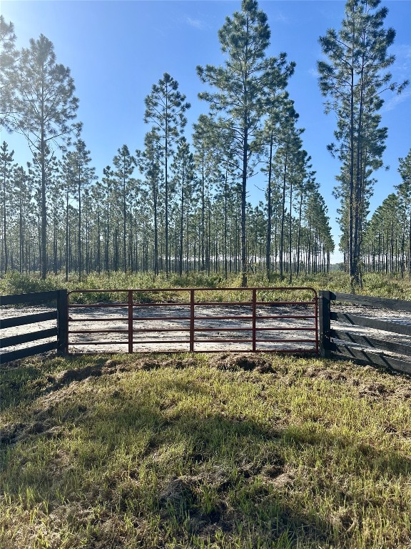 a view of park benches and trees around