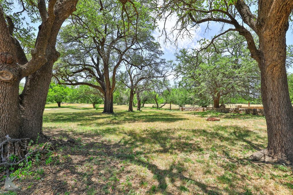 a view of backyard with large trees