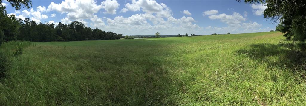 a view of a field of grass and trees