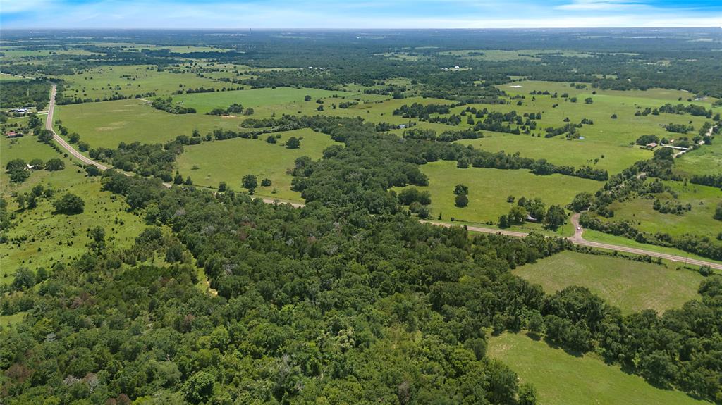 an aerial view of mountain with trees