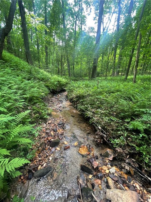 a view of a lush green forest with lots of trees