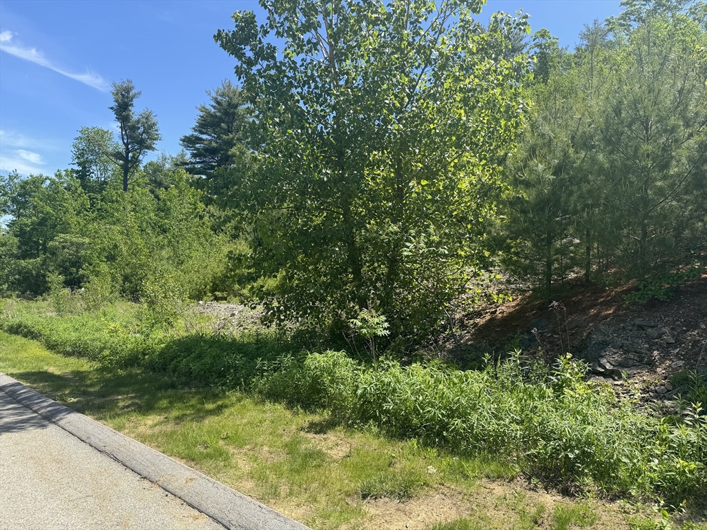 a view of backyard with green space