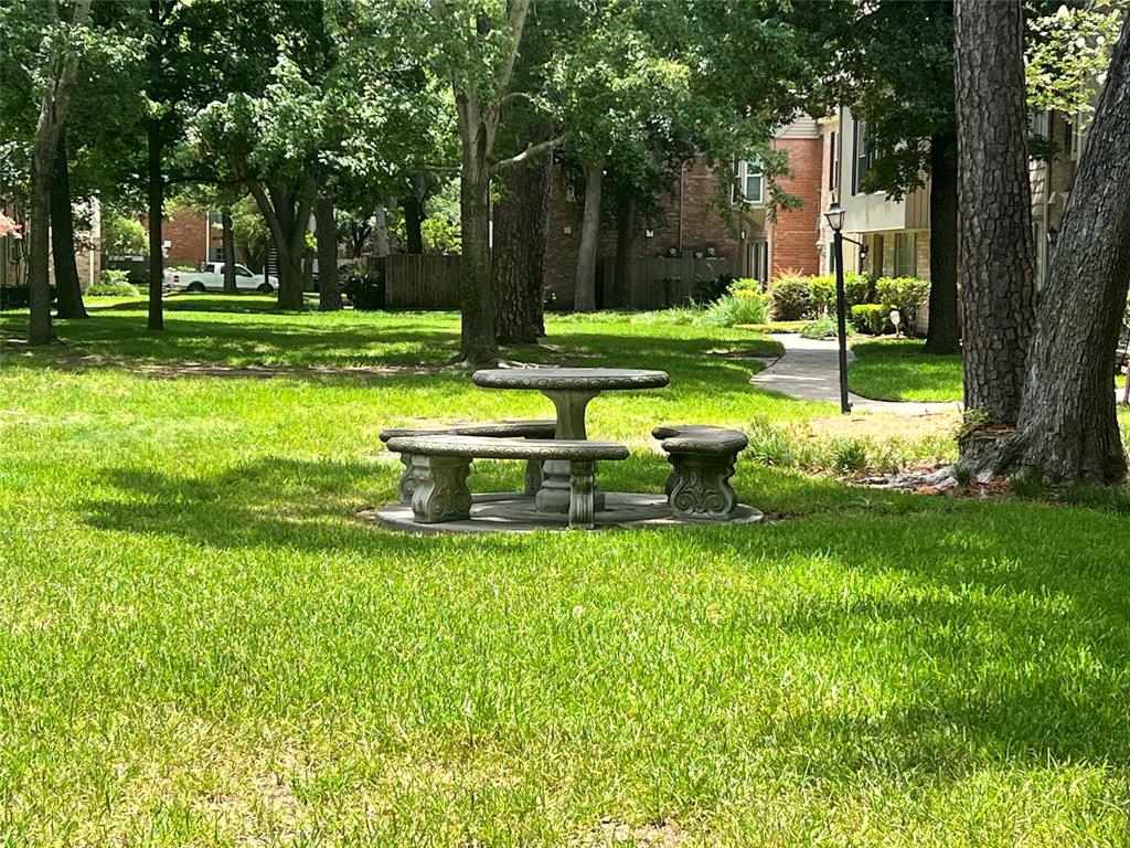 a view of a park with large trees