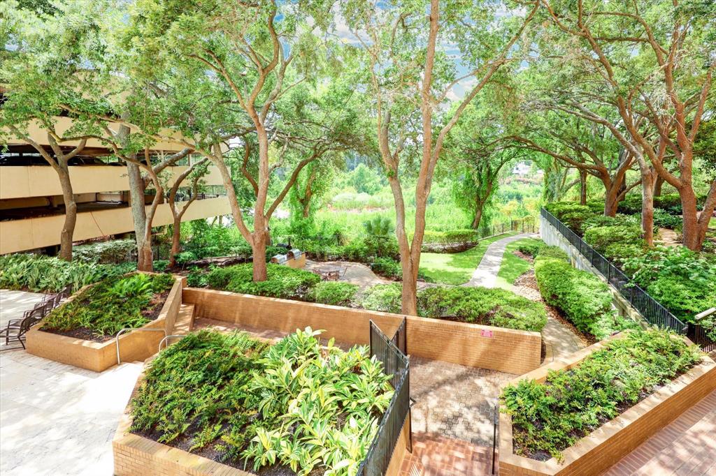 a view of a garden with plants and large trees