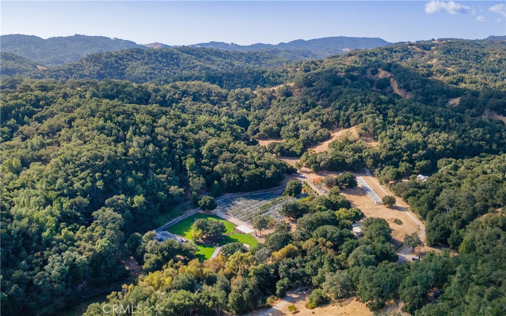 an aerial view of green landscape with trees houses and mountain view