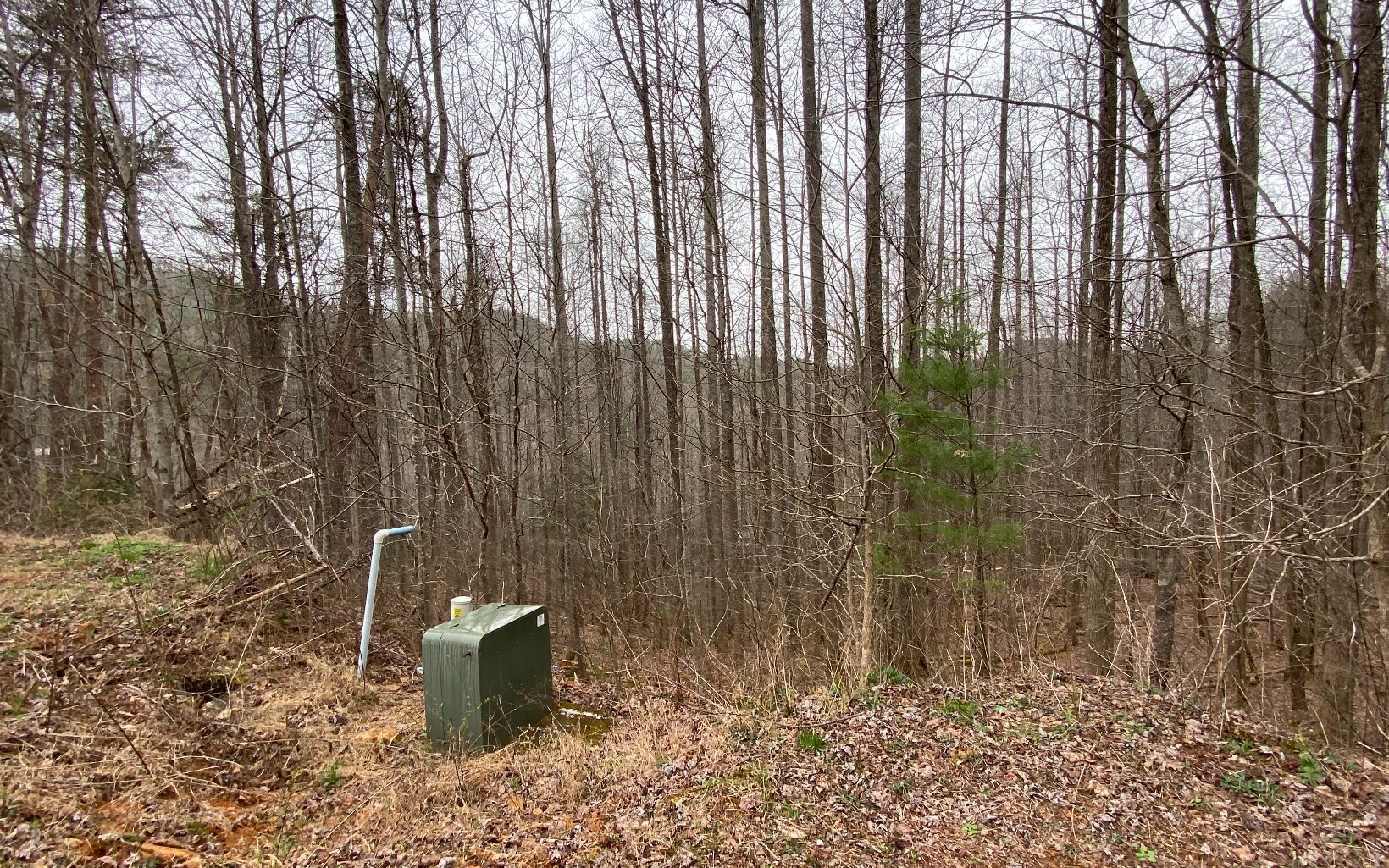 a view of a outdoor space