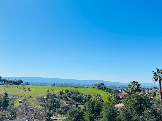 a view of a field with an ocean