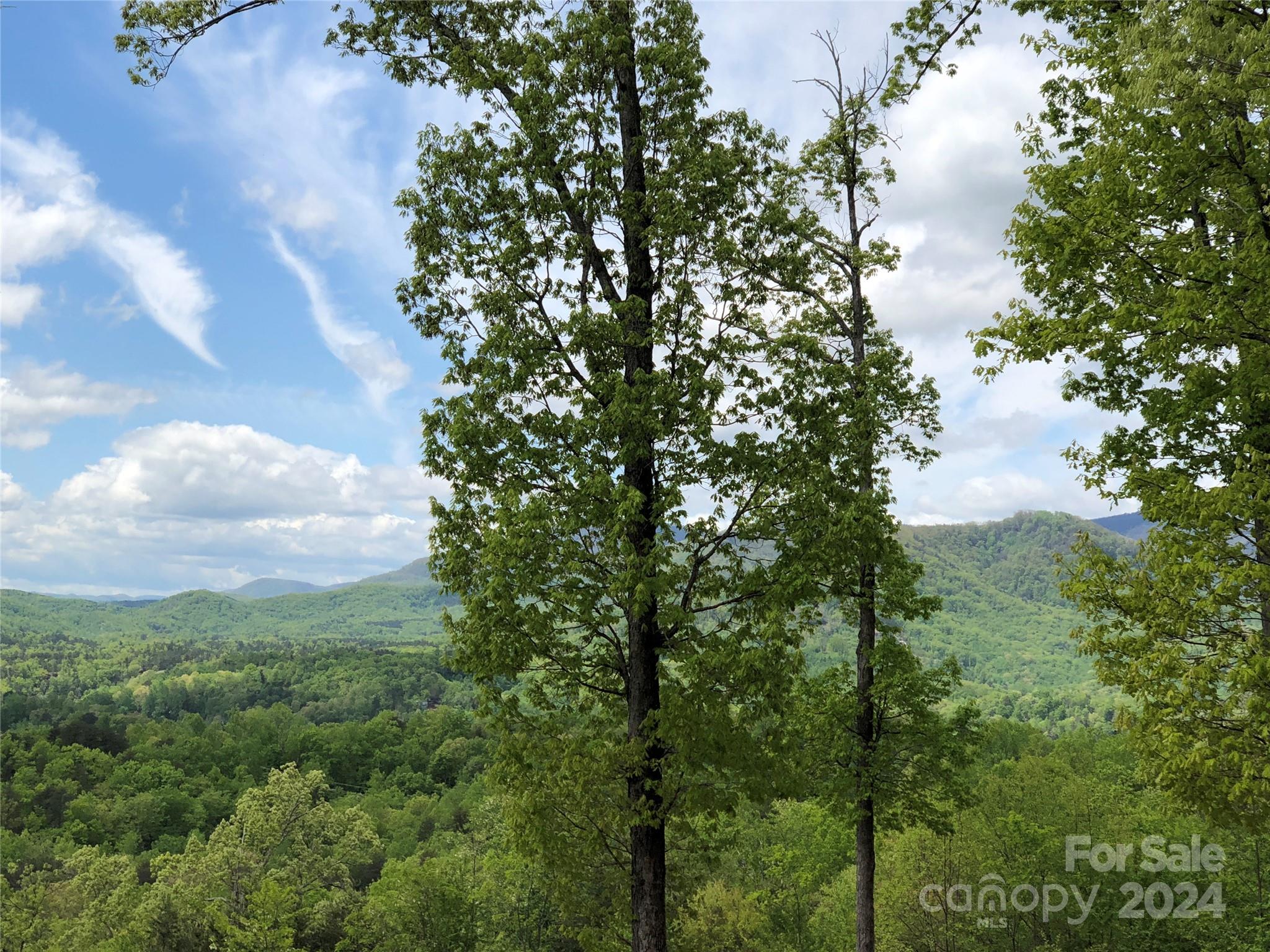 a view of a city with lush green forest