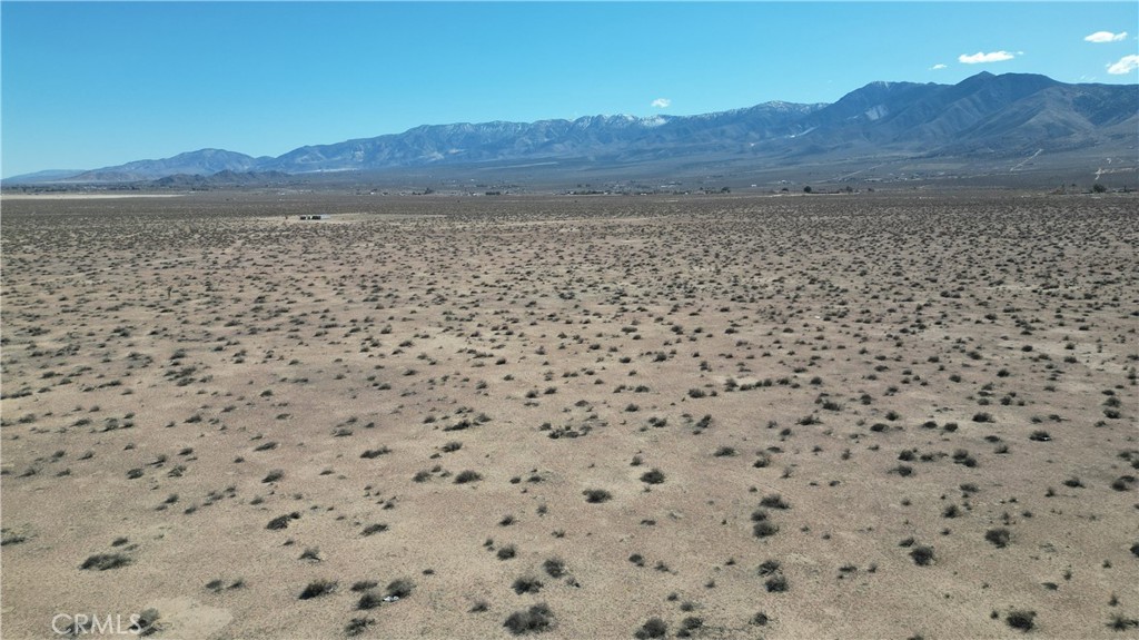 a view of a dry yard and mountain