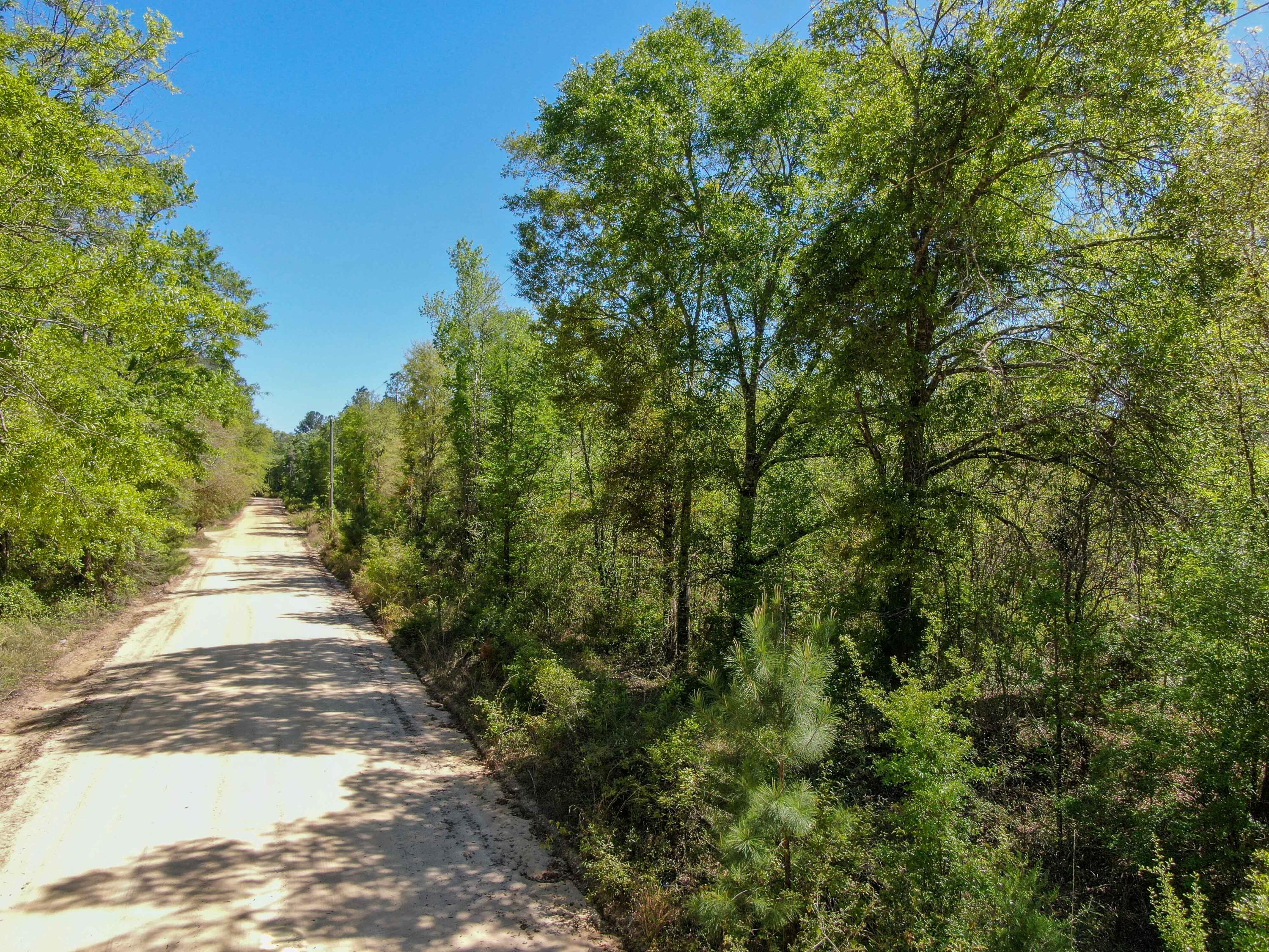 a view of a pathway of a yard