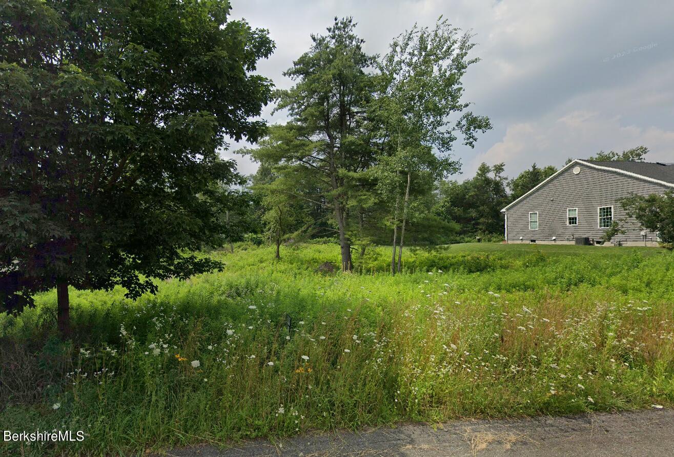 a view of house with backyard