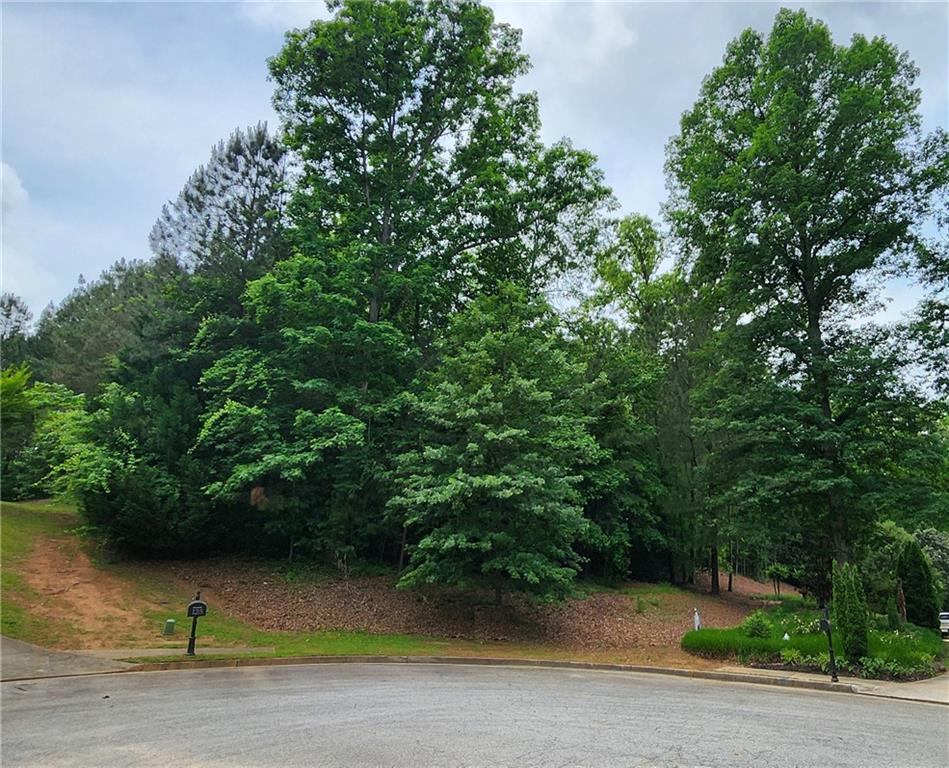 an outdoor space with lots of trees