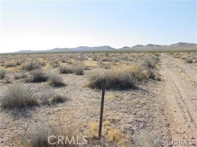 a view of a dry yard with mountains in the background