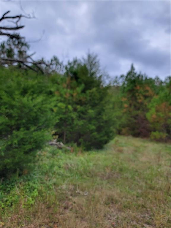 a view of a field of grass and trees