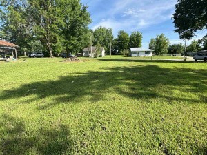 a view of a park with large trees and a houses