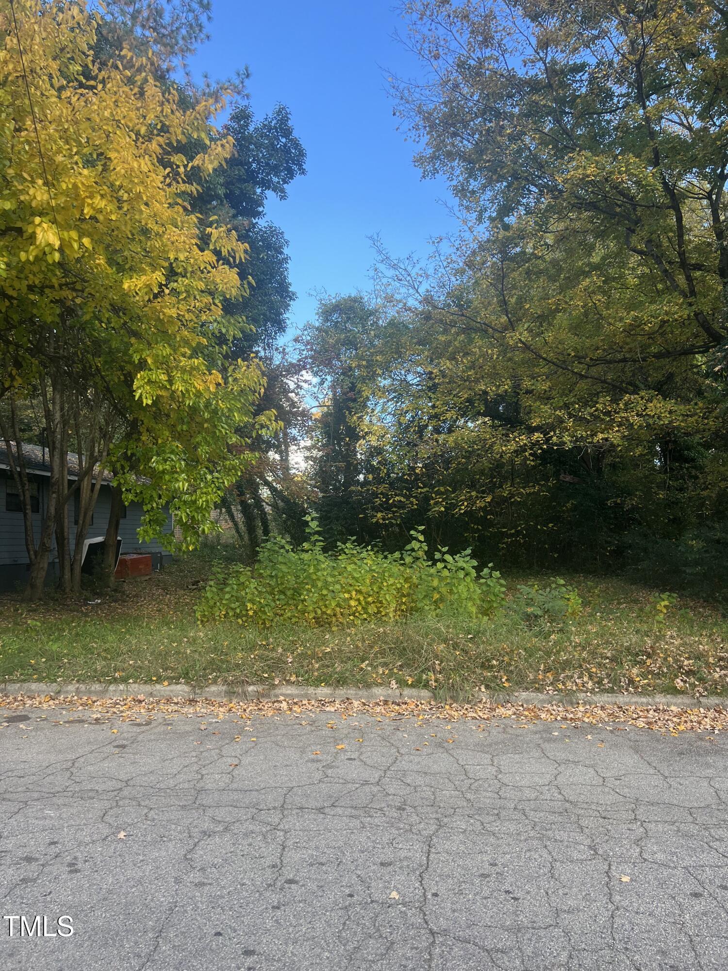 a view of backyard with green space