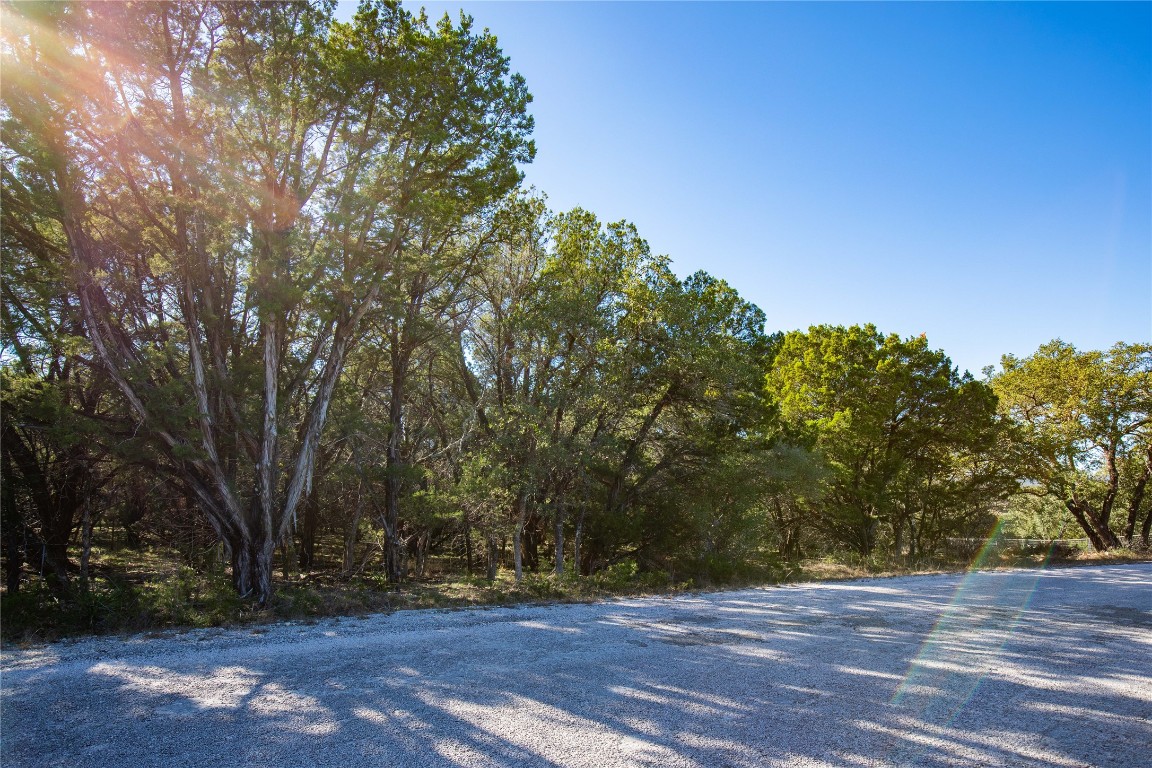 a view of outdoor space with trees