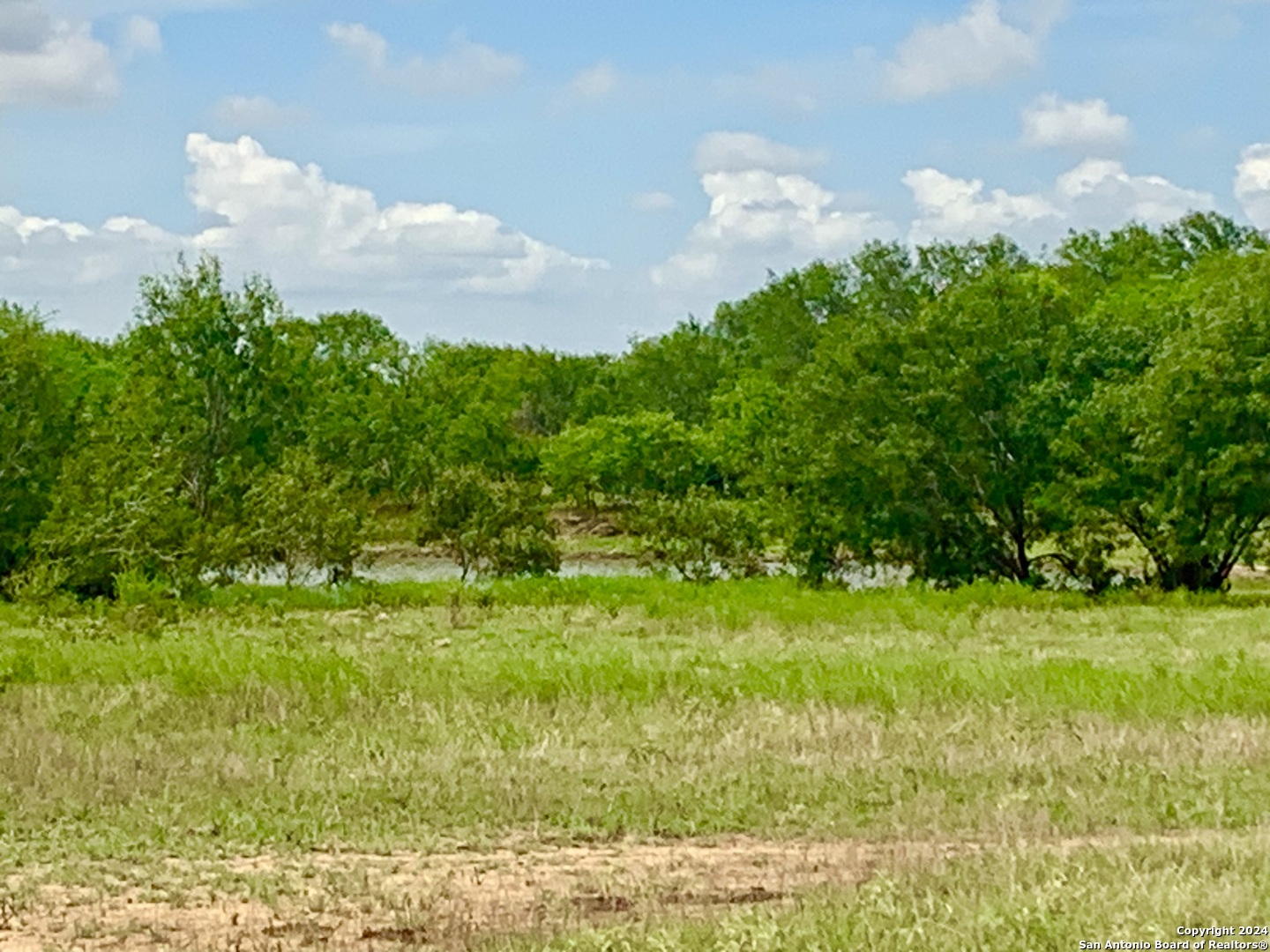 a view of a green yard