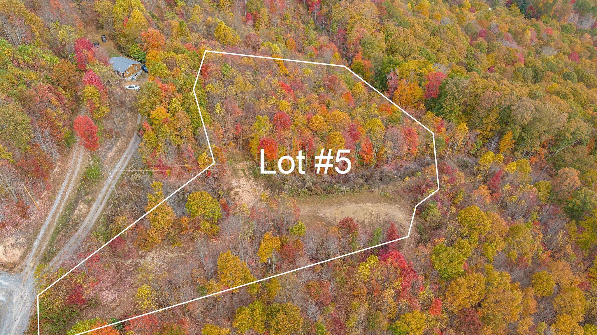 Lot 5